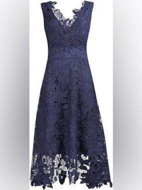 Women's Navy Lace Fit & Flare Formal Dress